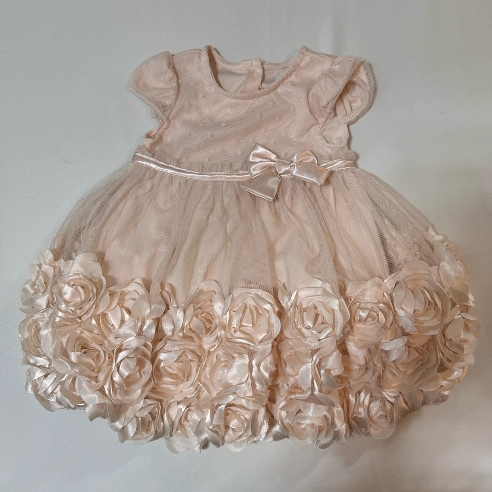 Nanette Baby Girl Dress Blush Champagne Pink Flowers 18M